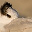thumbs/IMG_1873.jpg